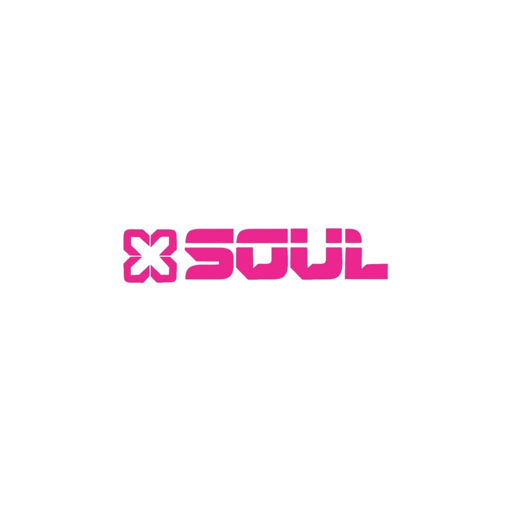 PARLANTE SOUL PLT-XL1300 60W 2x8"