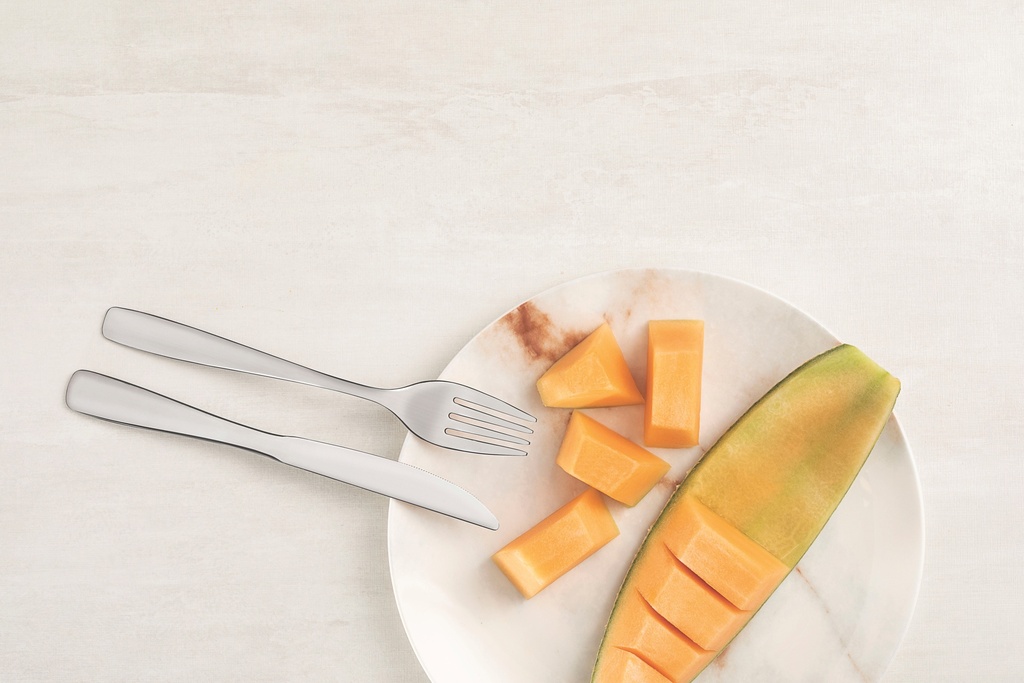 JUEGO DE CUBIERTOS TRAMONTINA 66960/004 AMAZONAS 24PZS